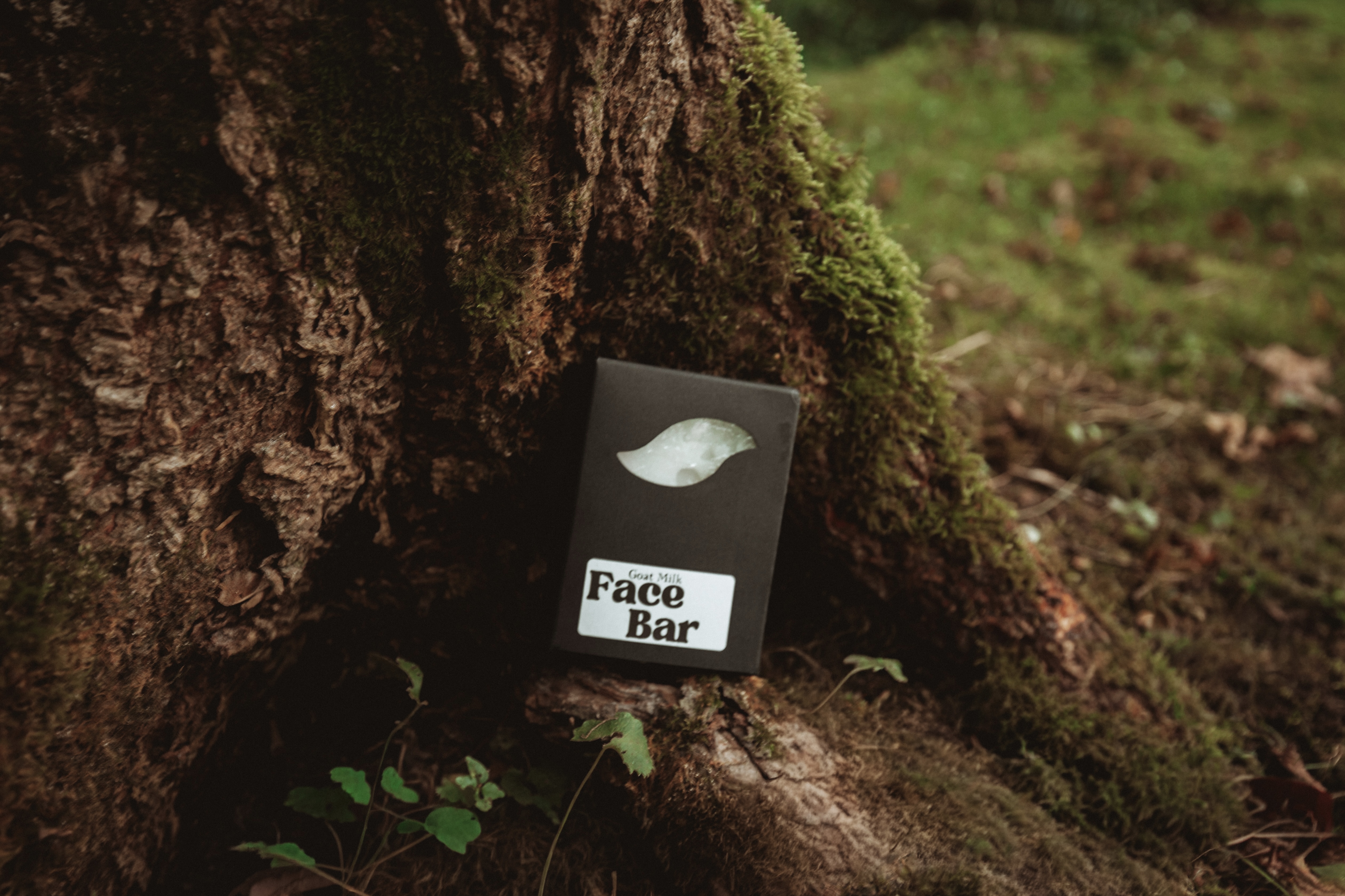 Face Bar